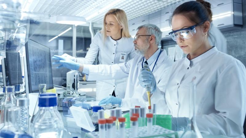 Exames Laboratoriais em Animais: Guias e Tipos
