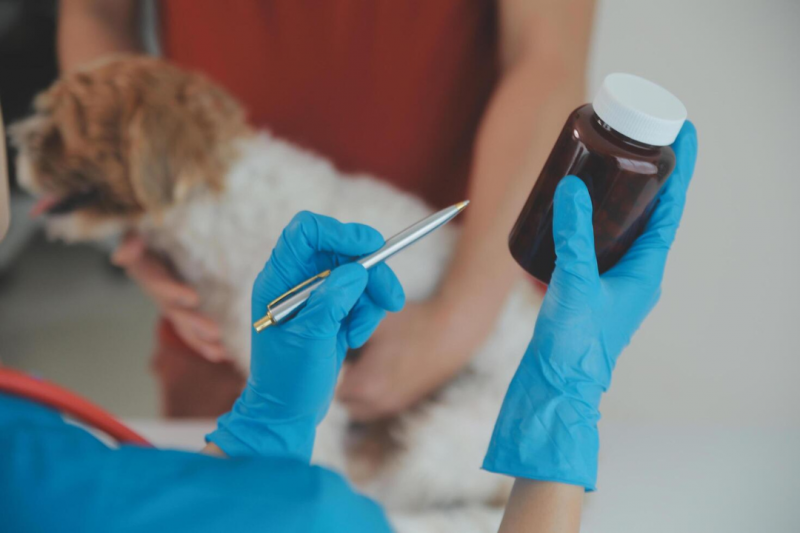 Veterinário Nutricionista: 7 Dicas para Cuidar da Saúde do Seu Pet Veterinário Nutricionista: 7 Dicas para Cuidar da Saúde do Seu Pet