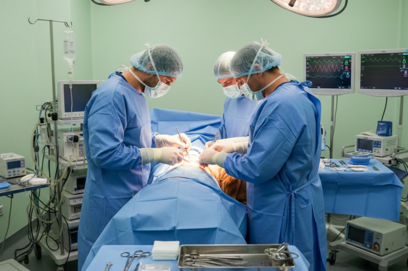 Tudo Que Você Precisa Saber Sobre Cirurgia Veterinária