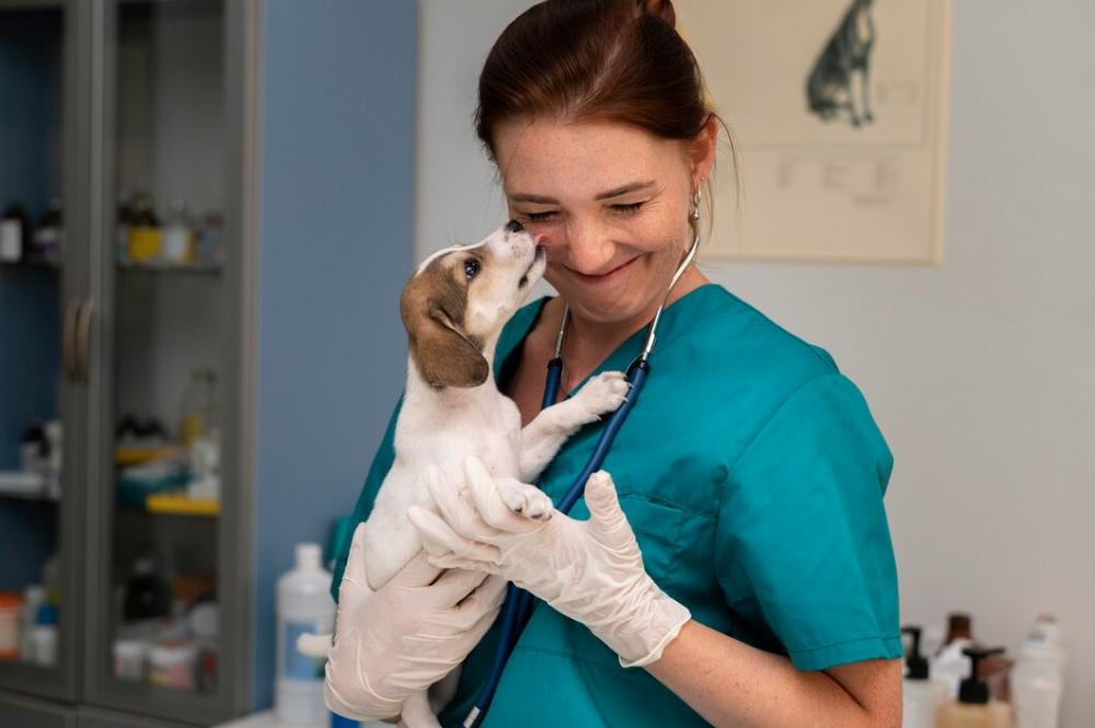 Veterinário