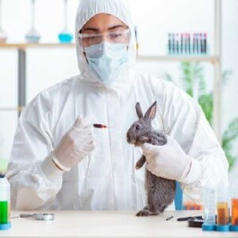 Agendamento de Exames de Sangue Laboratoriais para Animais Poiares - Exames Laboratoriais para Cachorro