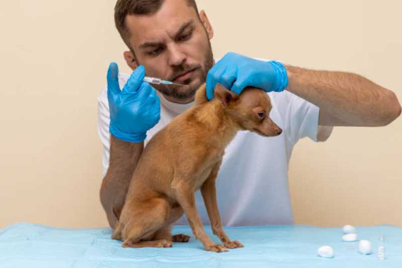 Aplicação de V10 Ubatuba (demais Setores) - Vacina Antirrábica para Cachorros