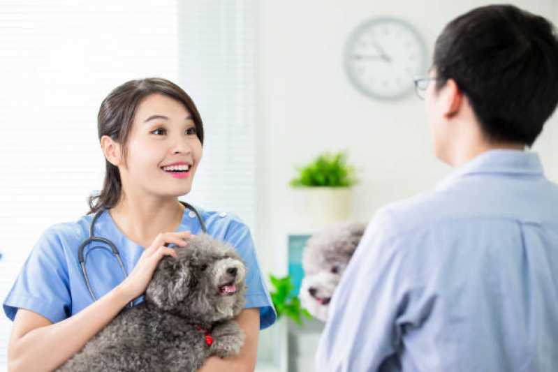 Clínica Veterinária Animal Itaguá - Clínica Veterinária Especializada em Cães e Gatos