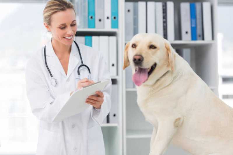 Clínica Veterinária de Cães e Gatos Telefone Jardim Britânia - Clínica Veterinária Próxima