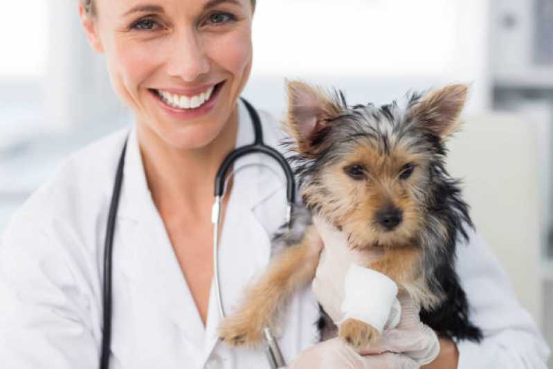 Clínica Veterinária de Cães e Gatos Portal Patrimonium - Clínica Veterinária com Atendimento Emergencial 24h