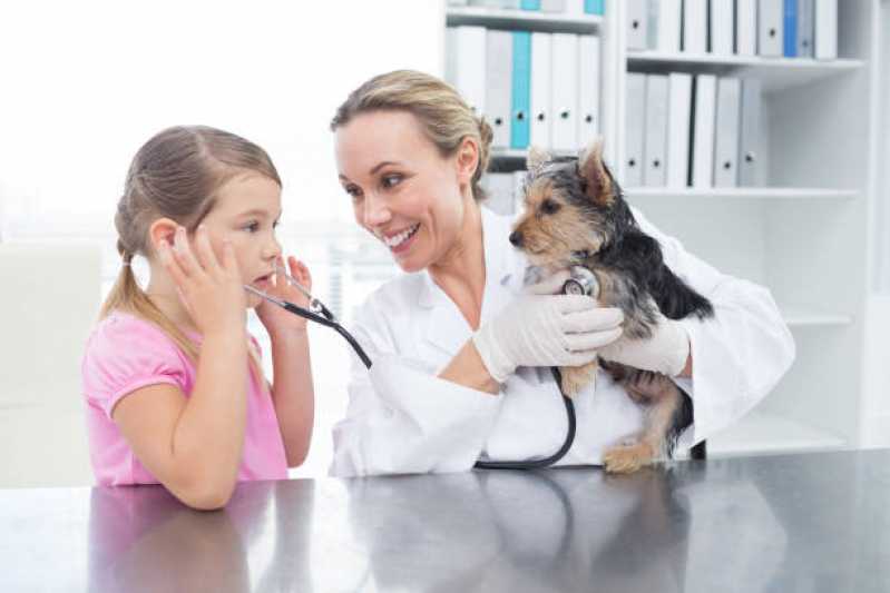 Clínica Veterinária Telefone Martim de Sá - Clínica Veterinária Especializada em Cães e Gatos