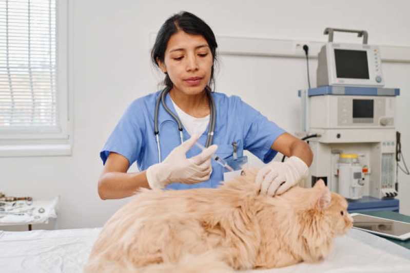 Clínica Veterinária Pontal - Clínica Veterinária Especializada em Cães e Gatos