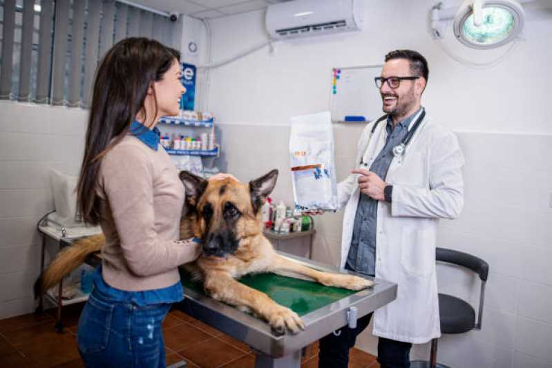 Contato de Clínica 24 Horas Veterinária Mato Dentro (carolina, Trevo, Samambá) - Clínica Veterinária Especializada em Cães e Gatos