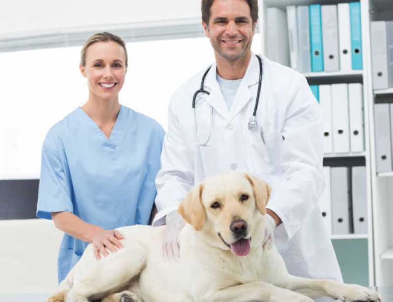 Contato de Clínica Veterinária Monte Valério - Clínica Veterinária Especializada em Cães e Gatos