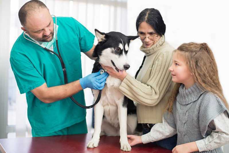 Atendimentos Emergenciais para Animais