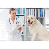 clínica veterinária de cães e gatos telefone Recanto Som Mar