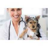 clínica veterinária de cães e gatos Portal Patrimonium