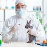 Exames de Sangue Laboratoriais para Animais