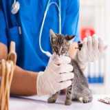 exames laboratoriais para cães e gatos Centro