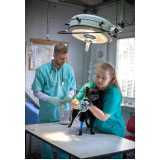 onde fazer cirurgia ortopédica em cães Caborê