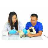 vacina para cachorro Pontal