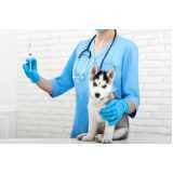 vacina polivalente para cachorros agendar Ubatuba (demais Setores)