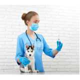 vacina polivalente para cachorros Silop