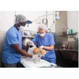 veterinário com especialidade em cirurgia telefone Praia de Fortaleza
