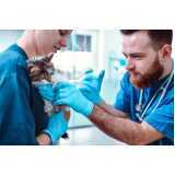 veterinário com especialidade em vacina telefone Ilha das Cobras