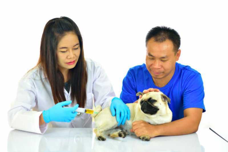 Vacina para Cachorro Itaguá - Vacina de Leishmaniose